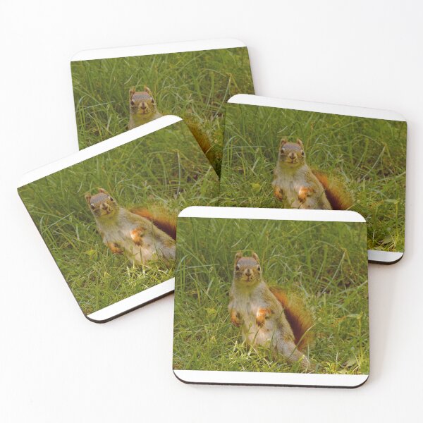 Item preview, Funny Brown Squirrel Standing Up in Grass designed and sold by DanaRenae.