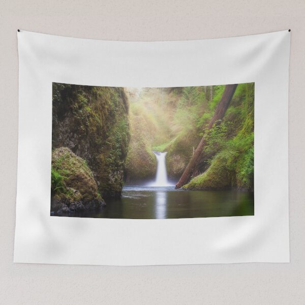 Item preview, Sun ray beams over Punch Bowl Falls waterfall along Eagle Creek in Oregon designed and sold by davidgnsx1.