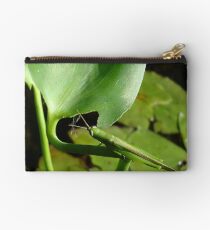 Handsome Meadow Katydid Studio Pouch