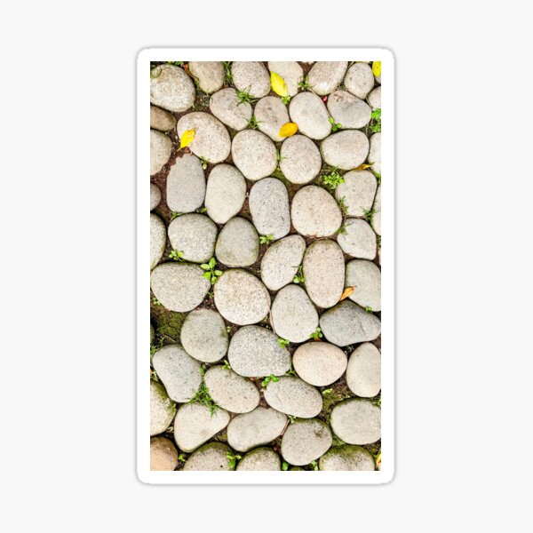 Item preview, Stone Path with Tiny Green Sprouts designed and sold by chloemark9.