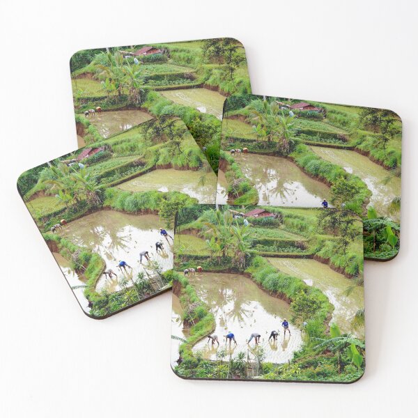 Item preview, Rice Farmers Planting by Hand in a Lush Bali Terrace designed and sold by Aure50.