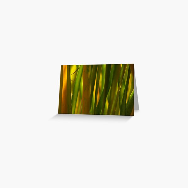 reed grass Greeting Card