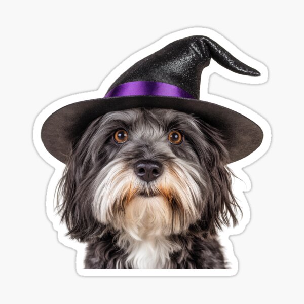 Item preview, Havanese Dog Wearing Halloween Witch Hat designed and sold by LazyOwlStore.