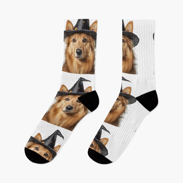 Item preview, Icelandic Sheepdog Wearing Halloween Witch Hat designed and sold by LazyOwlStore.