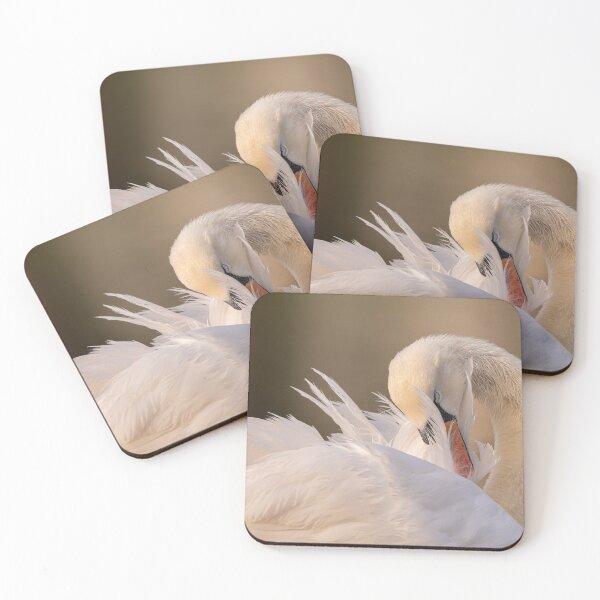 Item preview, Beautiful Swan Cleaning Feathers designed and sold by desolatelens.