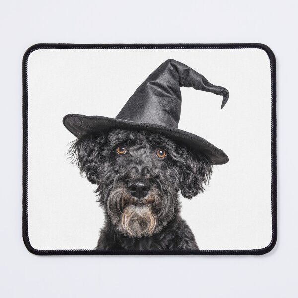 Item preview, Kerry Blue Terrier Dog Wearing Halloween Witch Hat designed and sold by LazyOwlStore.