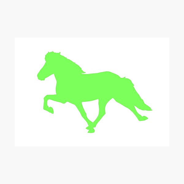 Aperçu de l'œuvre Cheval islandais tolt Silhouette créée et vendue par Eymirart.