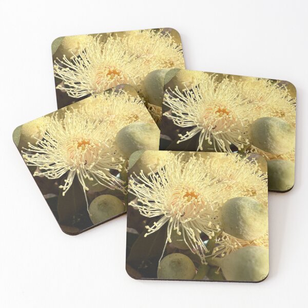 Item preview, Gum Blossom In Morning Light designed and sold by Sunny Hungerford Photography.