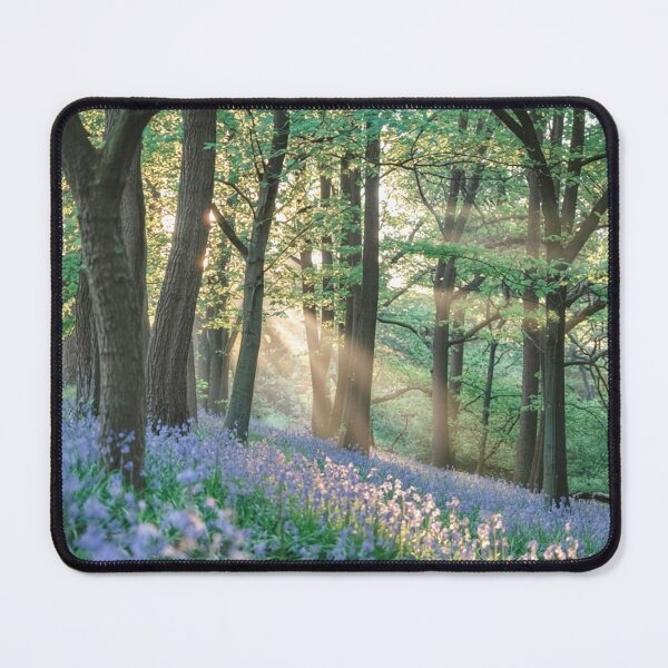 Item preview, Bluebells  and sunrays designed and sold by AnthonyThomas.