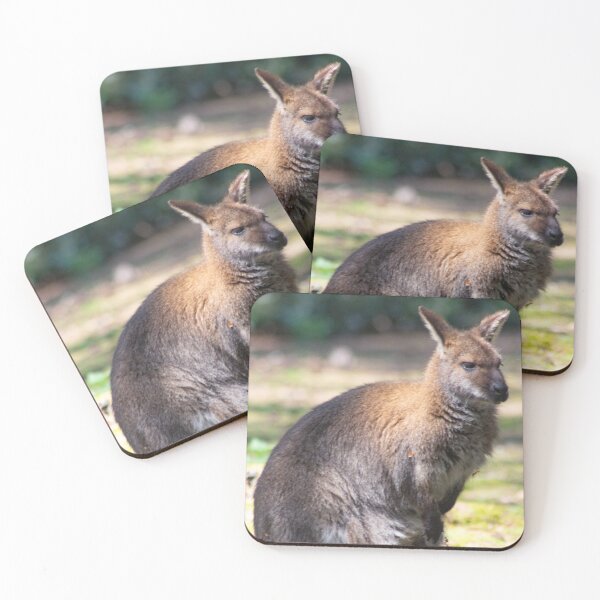 Item preview, Wallaby designed and sold by JRFotography.