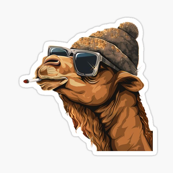 Cool Camel Vibes – Hipster Desert Attitude Sticker