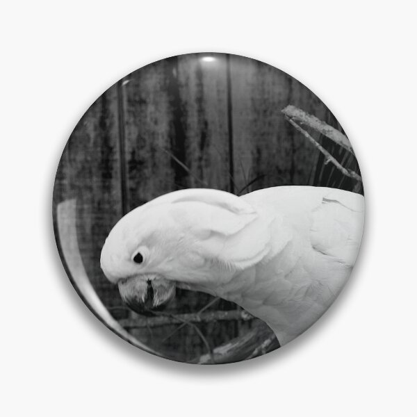 Item preview, Salmon Crested Cockatoo 1 Black And White designed and sold by MercerImages.