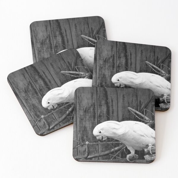 Item preview, Salmon Crested Cockatoo 1 Black And White designed and sold by MercerImages.