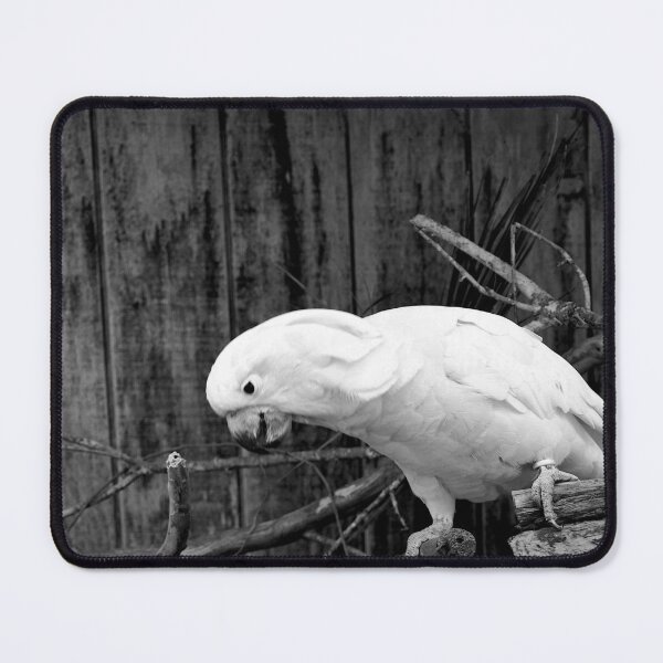 Item preview, Salmon Crested Cockatoo 1 Black And White designed and sold by MercerImages.