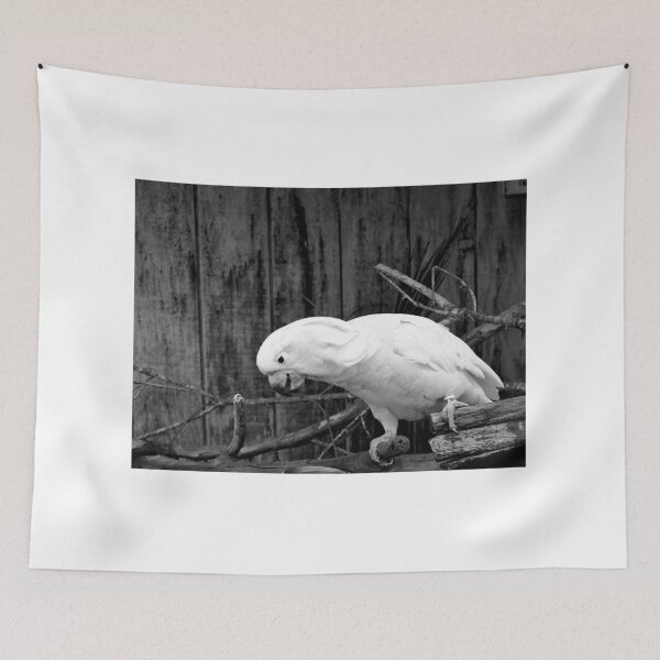 Item preview, Salmon Crested Cockatoo 1 Black And White designed and sold by MercerImages.