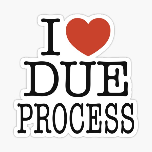 Item preview, I Love Due Process designed and sold by WatershipBound.