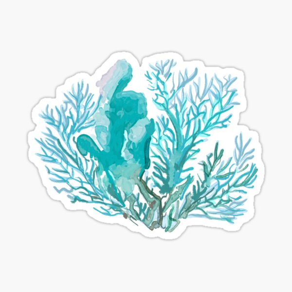 Item preview, Seaweed designed and sold by BlueCava.
