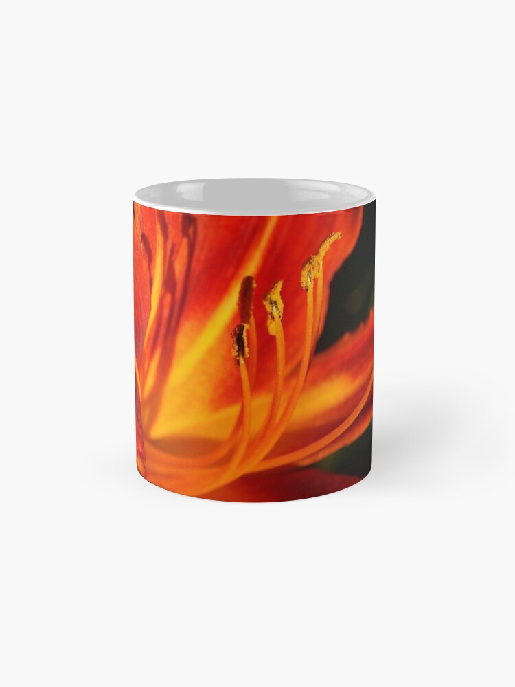 Alternate view of Red Daylily (Hemerocallis) from A Gardener's Notebook Mug