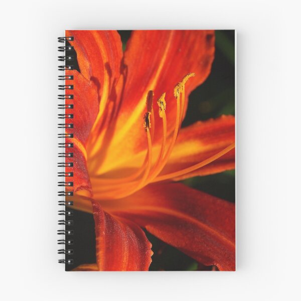 Item preview, Red Daylily (Hemerocallis) from A Gardener's Notebook designed and sold by Douglas E. Welch Design and Photography.