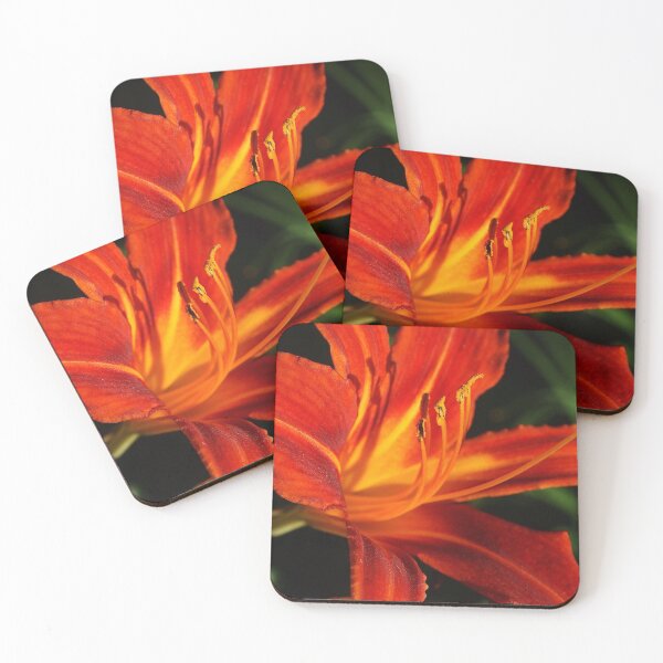Item preview, Red Daylily (Hemerocallis) from A Gardener's Notebook designed and sold by Douglas E. Welch Design and Photography.