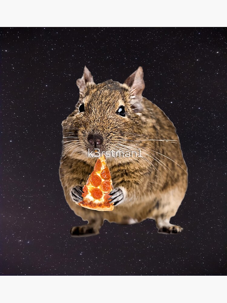 Degu Eating A Slice Of Pizza Shirt