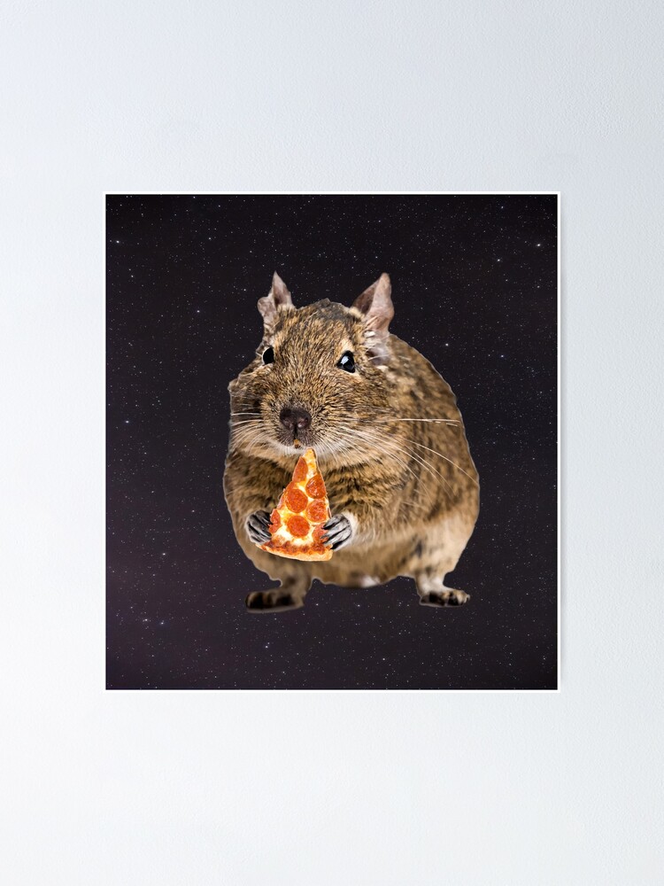 Degu Eating A Slice Of Pizza Shirt