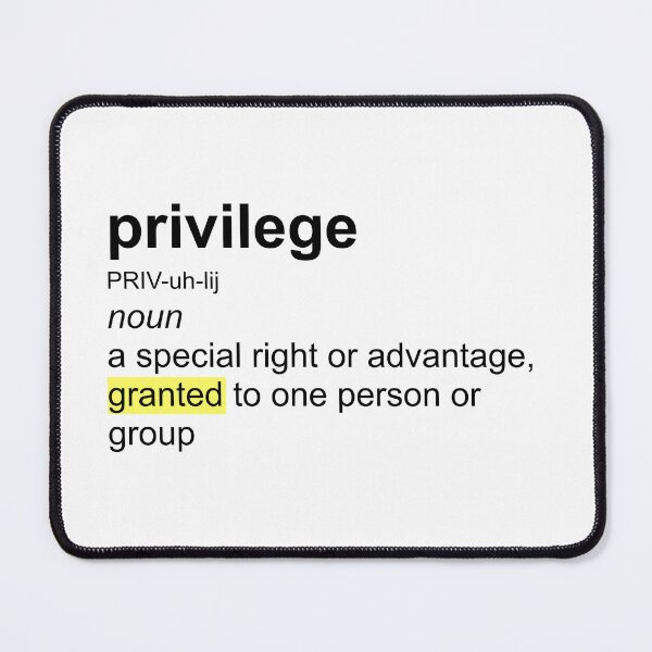 Item preview, The correct definition of privilege designed and sold by Deplorable Garbage [UK].