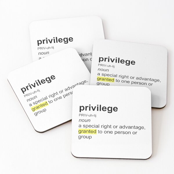 Item preview, The correct definition of privilege designed and sold by Deplorable Garbage [UK].