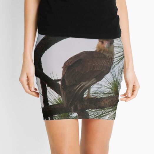 Who you looking at ??? Mini Skirt