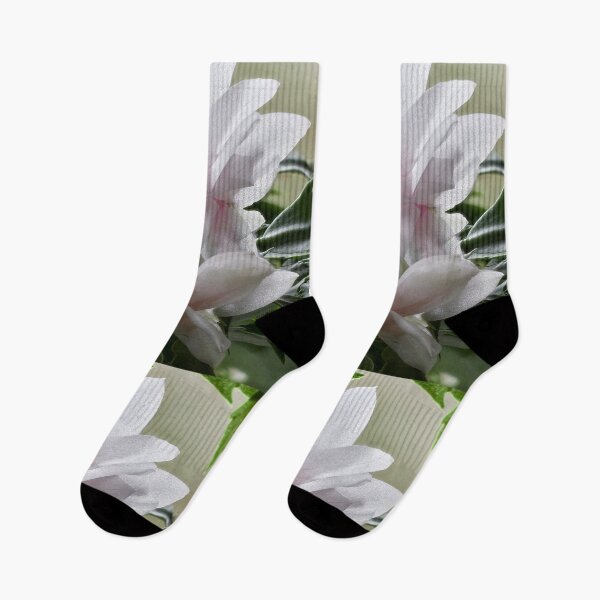 Item preview, Christmas jungle. False Christmas cactus designed and sold by Jouko Lehto Photography.