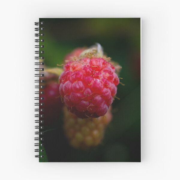 Item preview, Fruits of Summer designed and sold by Becss.