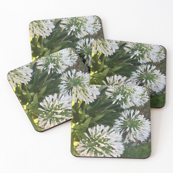 Item preview, White Agapanthus Lily of the Nile Flowers designed and sold by shaldesign.