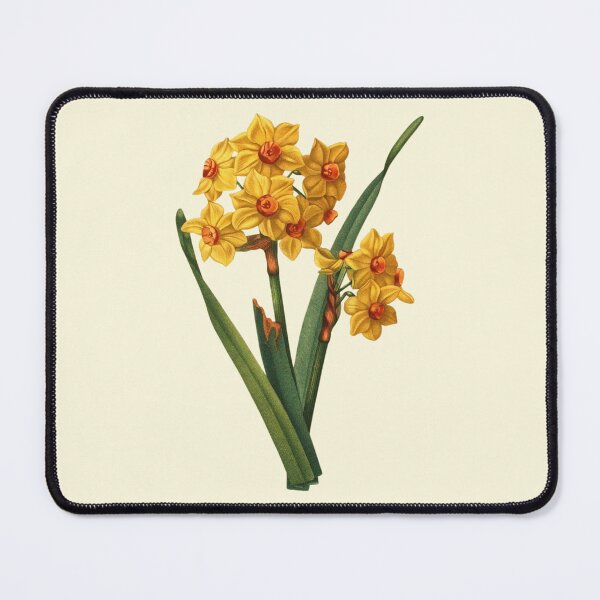 Item preview, Antique Yellow Narcissus Daffodil Flowers designed and sold by IrisAndIvy.