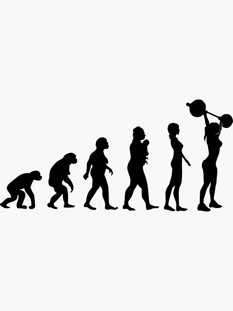 "Female Body Evolution" Sticker by SillyShirtsLOL Redbubble