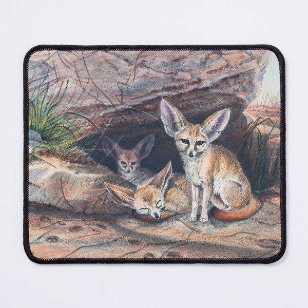 Item preview, Fennec Fox, Fox Family, National Animal Algeria designed and sold by CulturalCurios.