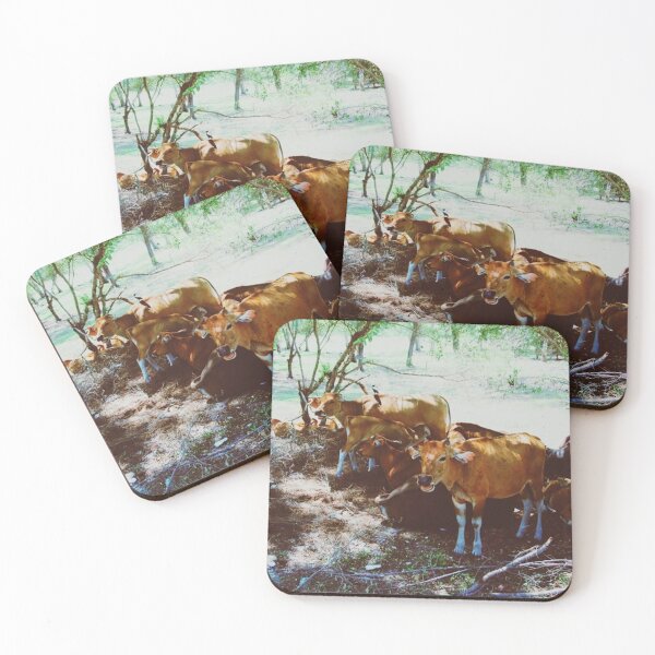 Item preview, Gili Trawangan Cows  designed and sold by Emilia Oxelheim.