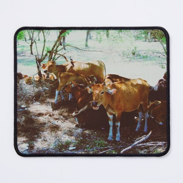 Item preview, Gili Trawangan Cows  designed and sold by Emilia Oxelheim.