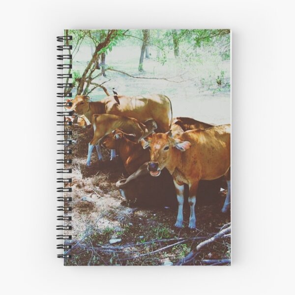 Item preview, Gili Trawangan Cows  designed and sold by Emilia Oxelheim.