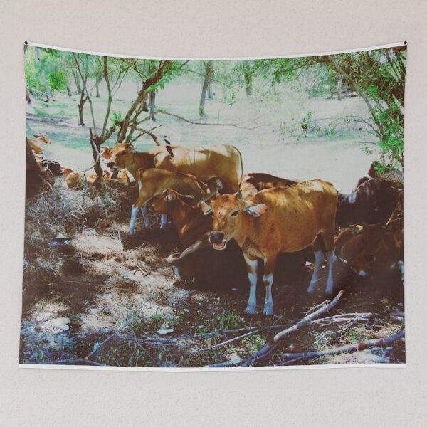 Item preview, Gili Trawangan Cows  designed and sold by Emilia Oxelheim.