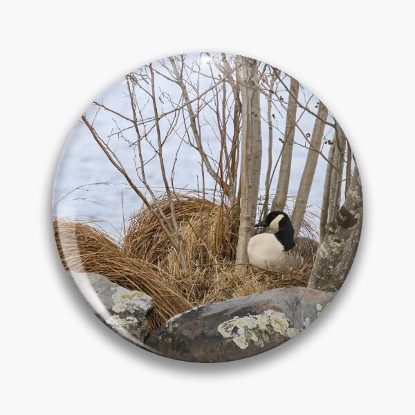 Item preview, The eggs laid. Canada Goose designed and sold by Jouko Lehto Photography.