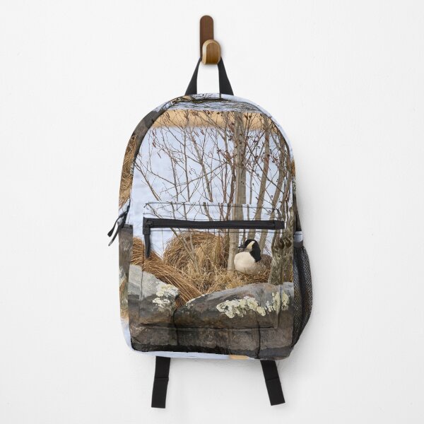 Item preview, The eggs laid. Canada Goose designed and sold by Jouko Lehto Photography.