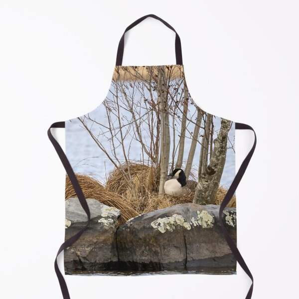 Item preview, The eggs laid. Canada Goose designed and sold by Jouko Lehto Photography.