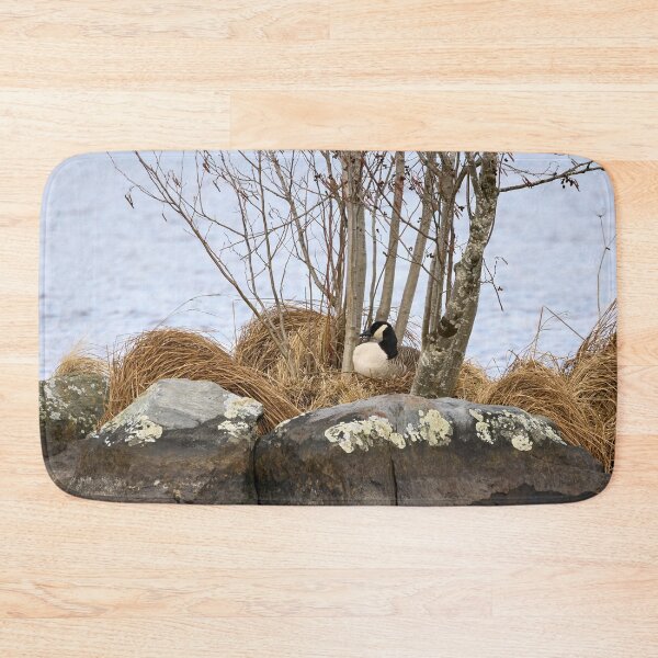 Item preview, The eggs laid. Canada Goose designed and sold by Jouko Lehto Photography.