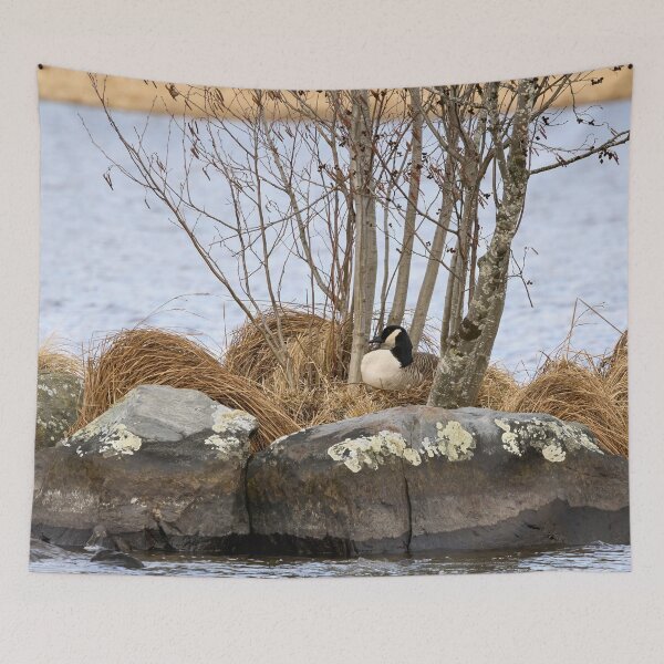 Item preview, The eggs laid. Canada Goose designed and sold by Jouko Lehto Photography.