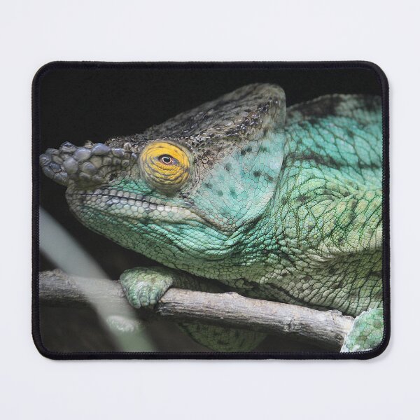 Item preview, Parson's Chameleon designed and sold by AnthonyThomas.
