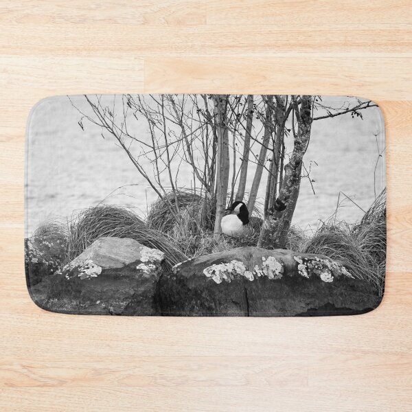 Item preview, The eggs laid. Canada Goose bw designed and sold by Jouko Lehto Photography.