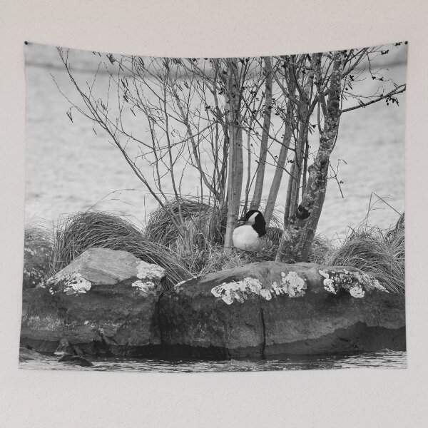 Item preview, The eggs laid. Canada Goose bw designed and sold by Jouko Lehto Photography.