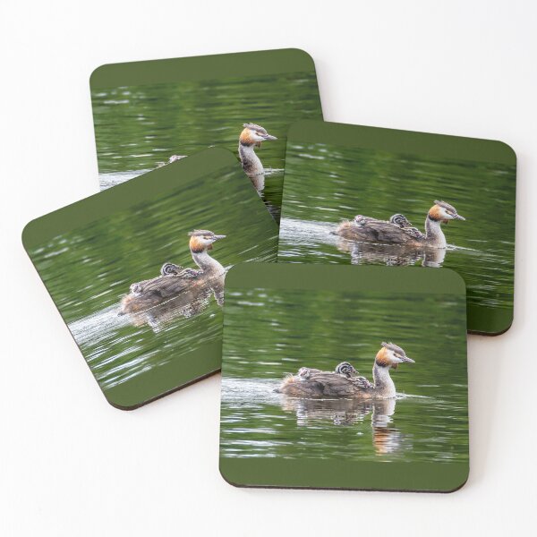 Item preview, Great Crested Grebe with its children designed and sold by Tetzaoh.