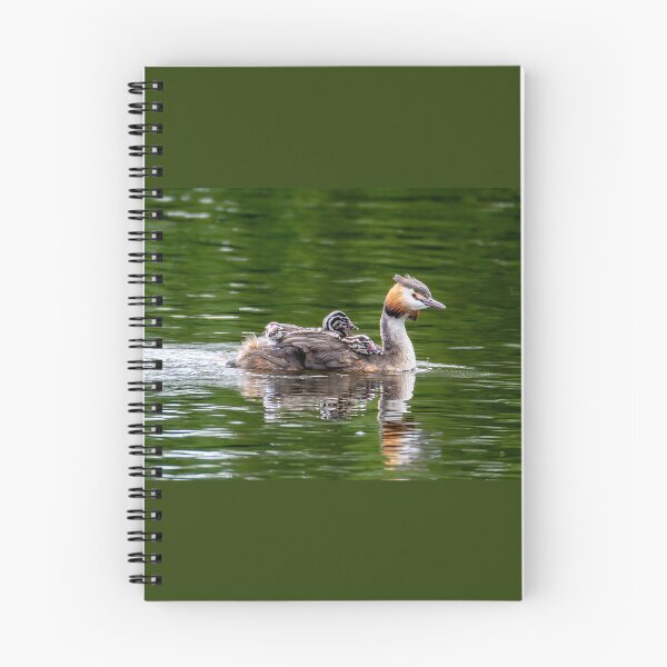 Item preview, Great Crested Grebe with its children designed and sold by Tetzaoh.