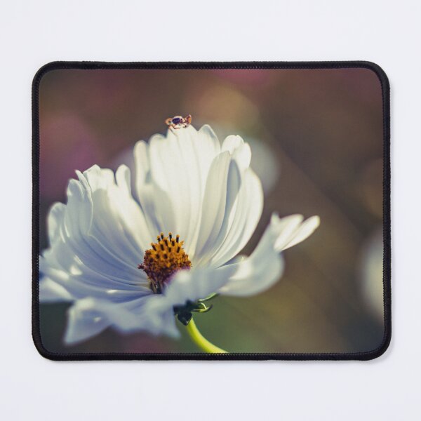 Item preview, White grace with a hidden guest designed and sold by MerryStomps.